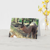 Purnimama Kaart (Gele Bloem)