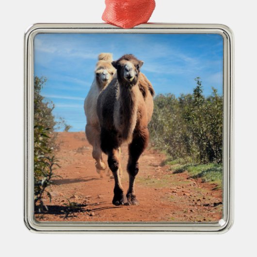 Purnimamma en Delany Metalen Ornament (Voorkant)