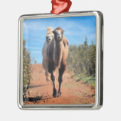 Purnimamma en Delany Metalen Ornament (Links)