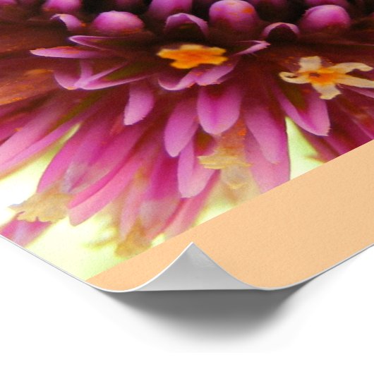 Purper haze poster (Hoek)