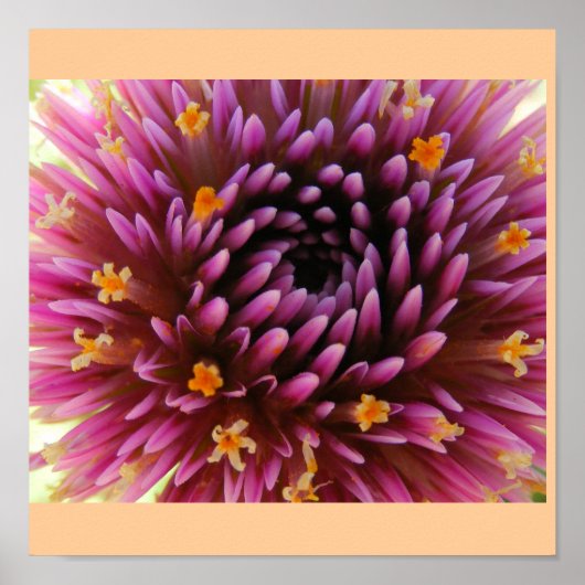 Purper haze poster (Voorkant)