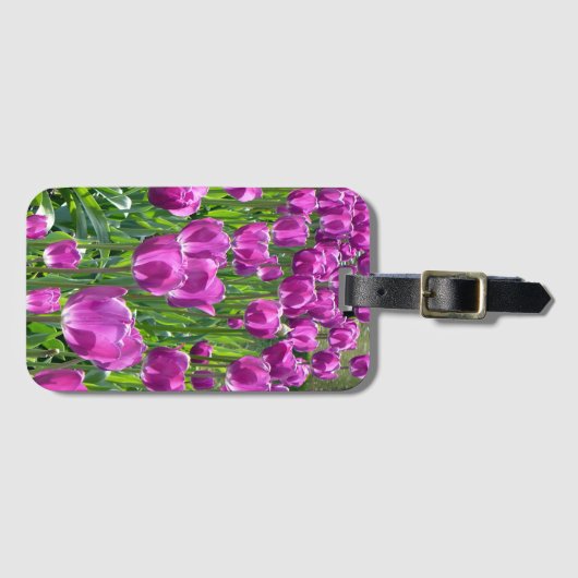 Purpere tulpen bagagelabel (Voorkant (horizontaal))