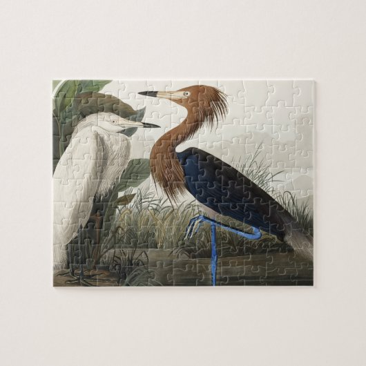 Purperreiger uit Birds of America Legpuzzel (Horizontaal)
