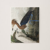 Purperreiger uit Birds of America Legpuzzel (Verticaal)