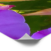 PURPLE AND GREEN ABSTRACT DRAWING. SAMER BRASIL. 4 POSTER (Hoek)