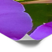 PURPLE AND GREEN ABSTRACT DRAWING. SAMER BRASIL. 4 POSTER (Hoek)