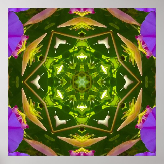 PURPLE AND GREEN ABSTRACT DRAWING. SAMER BRASIL. 4 POSTER (Voorkant)