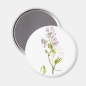 Purple and green sweet pea magneet (Voorkant / Achterkant)
