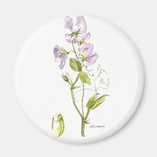 Purple and green sweet pea magneet