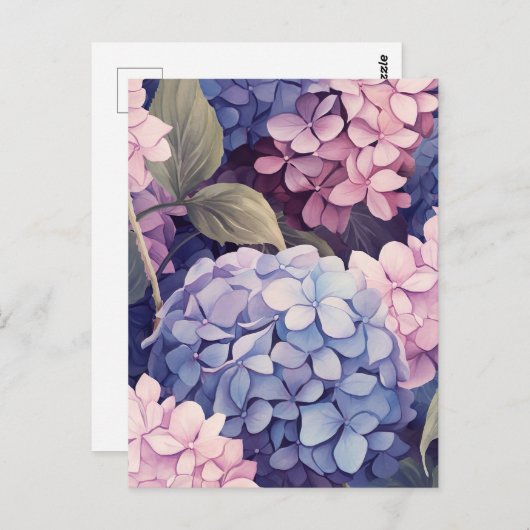 purple and pink hydrangea flower heads briefkaart (Voorkant / Achterkant)