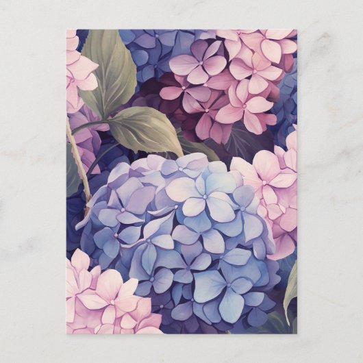 purple and pink hydrangea flower heads briefkaart (Voorkant)