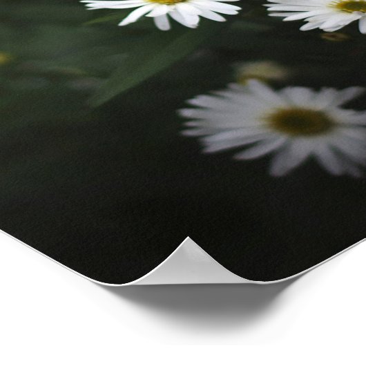 Purple and White Flowers Poster (Hoek)