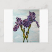 Purple bearded iris flowers briefkaart (Voorkant)