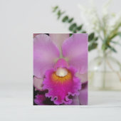 Purple Cattleya Briefkaart (Staand voorkant)