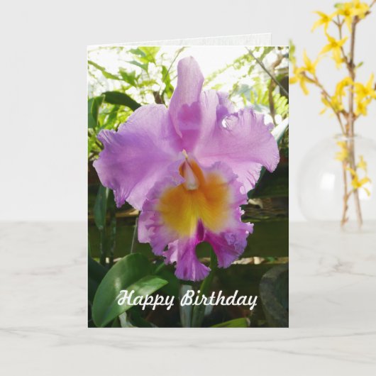 Purple Cattleya Orchid Tropical Flower Template Kaart (Gele Bloem)