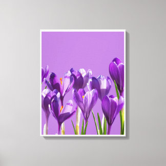 Purple Crocus Awakening Canvas Afdruk