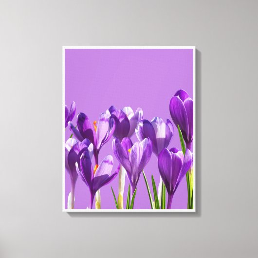 Purple Crocus Awakening Canvas Afdruk (Voorkant)