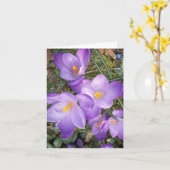 Purple Crocus Blank Note Cards Kaart (Gele Bloem)