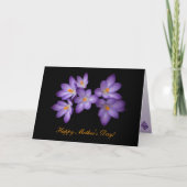 Purple Crocus Mother's Day Kaart (Voorkant)