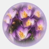 Purple Crocus Stickers (Voorkant)