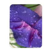 Purple Dewdrop Morning Glory Magneet (Verticaal)