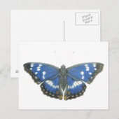 Purple Emperor 2012 Briefkaart (Voorkant / Achterkant)