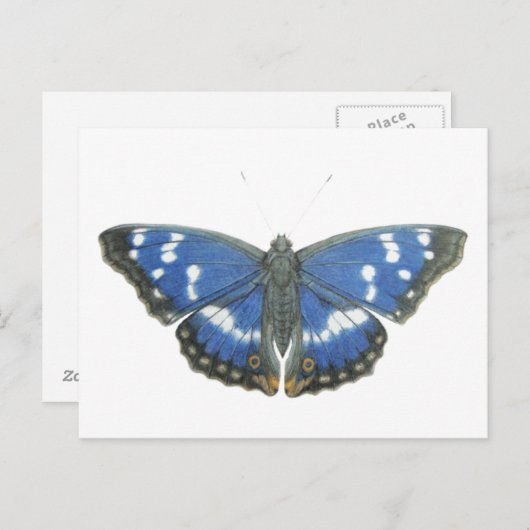 Purple Emperor 2012 Briefkaart (Voorkant / Achterkant)