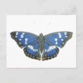 Purple Emperor 2012 Briefkaart (Voorkant)