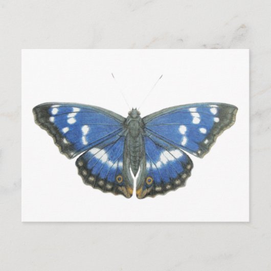 Purple Emperor 2012 Briefkaart (Voorkant)
