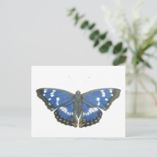 Purple Emperor 2012 Briefkaart (Staand voorkant)