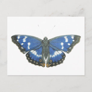 Purple Emperor 2012 Briefkaart