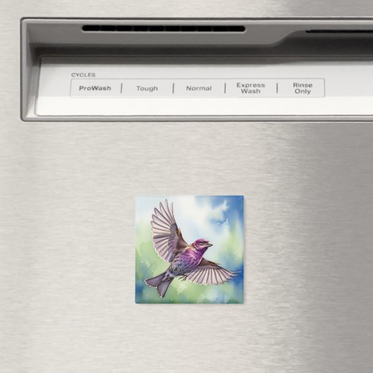 Purple Finch in flight Magneet (Insitu (Vaatwasser))