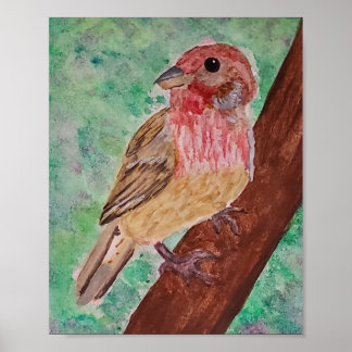 Purple Finch  Poster