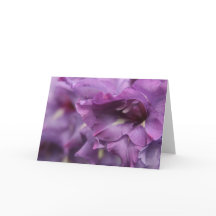 Purple Florals Greeting Card