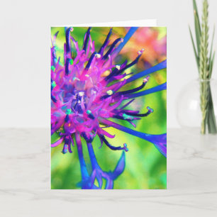 Purple Flower Kaart
