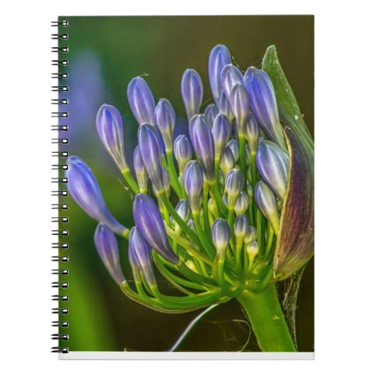 Purple flower Spiral Photo Notebook Notitieboek (Voorkant)