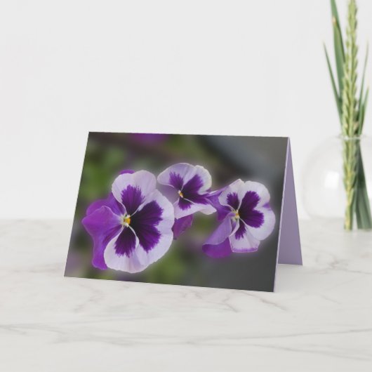 Purple Flowers All Occasion Blank Greeting Kaart (Voorkant)