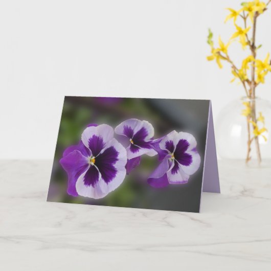 Purple Flowers All Occasion Blank Greeting Kaart (Gele Bloem)