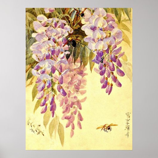 Purple Flowers & bijen Paul de Longpre Poster (Voorkant)