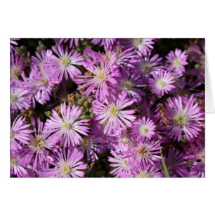 Purple Flowers Blank Card