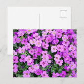 Purple Flowers Briefkaart (Voorkant / Achterkant)