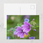 Purple Flowers Briefkaart (Voorkant / Achterkant)