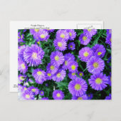 Purple Flowers Briefkaart (Voorkant / Achterkant)