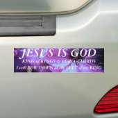 Purple Flowers Bumpersticker (Op auto)