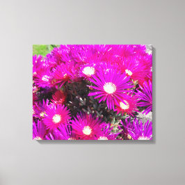 Purple Flowers Canvas Afdruk