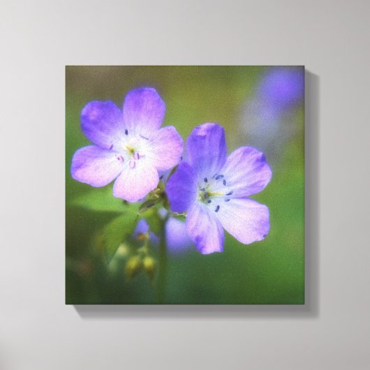Purple Flowers Canvas Afdruk (Voorkant)
