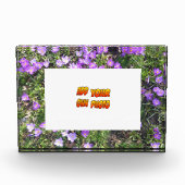 Purple Flowers Crocus Cust. Fotoblok (Voorkant)