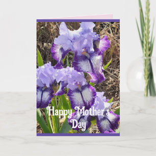 Purple Flowers Floral Iris Irises Moederdag Kaart