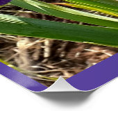 Purple Flowers Floral Iris Irises Moederdag Kaart Perfect Poster (Hoek)