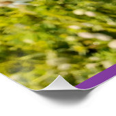 Purple Flowers Floral Iris Irises Moederdag Kaart Perfect Poster (Hoek)